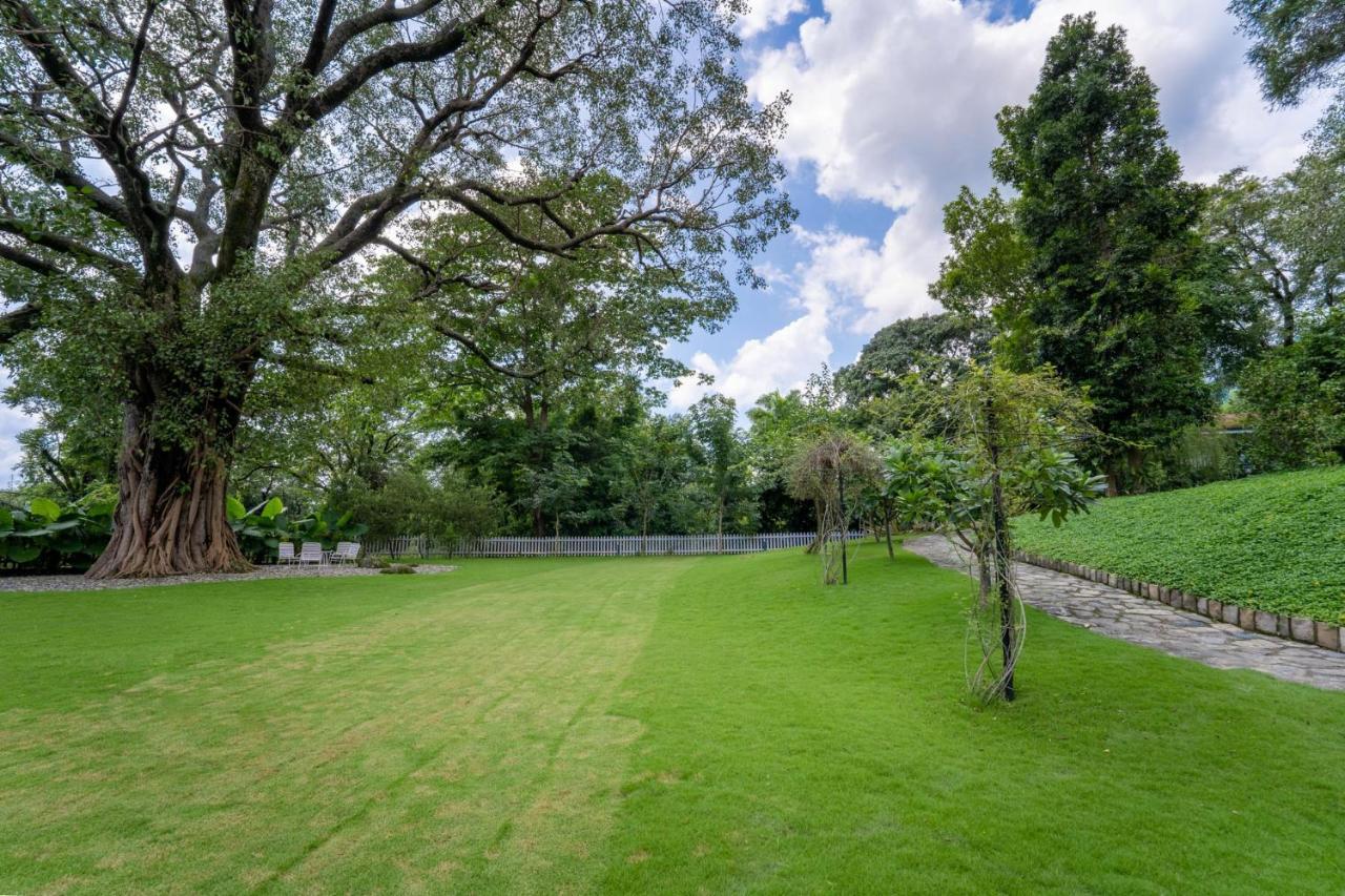 Lohonostays Ivy Cottage Dehradun Exterior foto